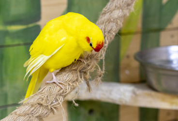 Similar image 22008807