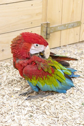 Similar image 22008808