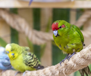 Similar image 22008809