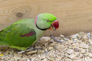 Similar image 22008810