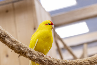 Similar image 22008811