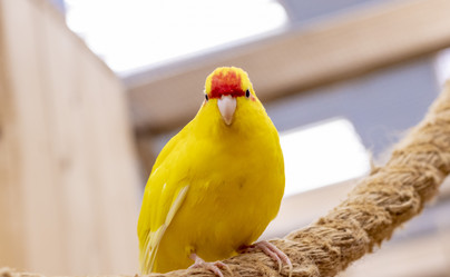 Similar image 22008812