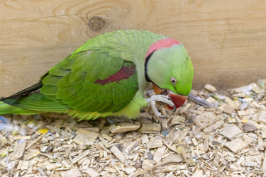 Similar image 22008813