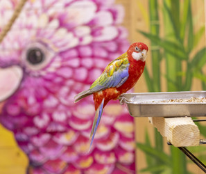 Similar image 22008815