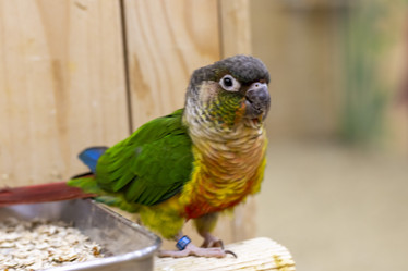 Similar image 22008819