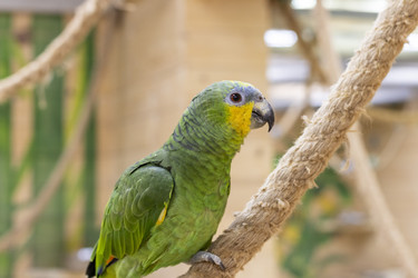 Similar image 22008820