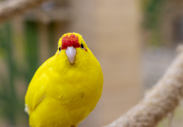 Similar image 22008821