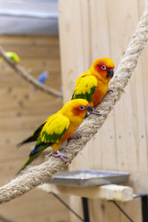 Similar image 22008823