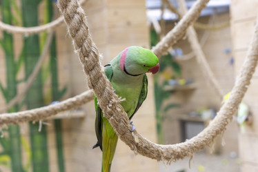 Similar image 22008825