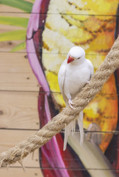 Similar image 22008826