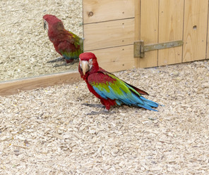 Similar image 22008827