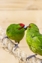 Similar image 22008829