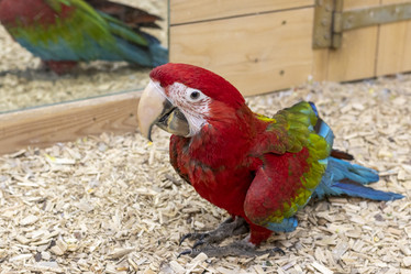 Similar image 22008830