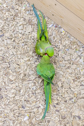 Similar image 22008834