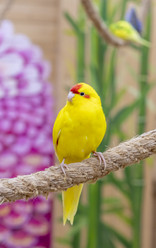 Similar image 22008836