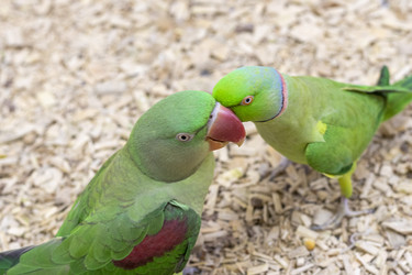 Similar image 22008837