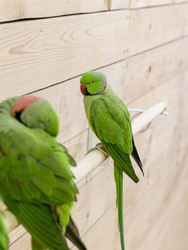 Similar image 22008838