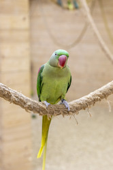 Similar image 22008840