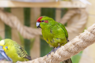 Similar image 22008841