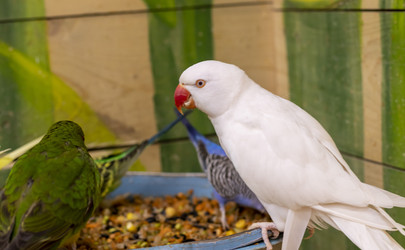 Similar image 22008842