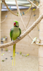 Similar image 22008843