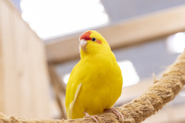 Similar image 22008844