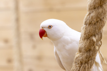 Similar image 22009124