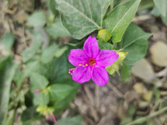 Similar image 22008536