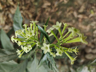 Similar image 22008540