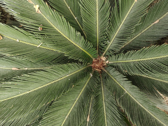 Similar image 22008541