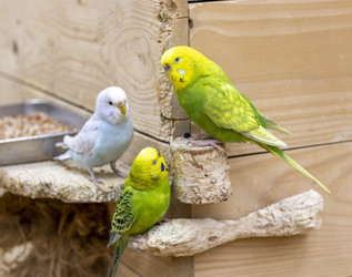 Similar image 22009125