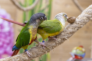 Similar image 22009126