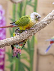 Similar image 22009127