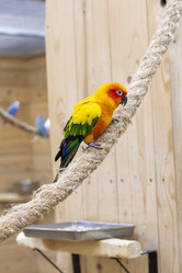 Similar image 22009131