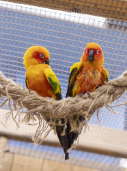 Similar image 22009132