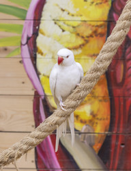 Similar image 22009133