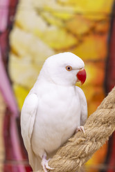 Similar image 22009134