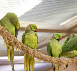 Similar image 22009135