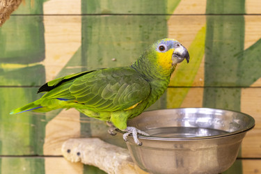 Similar image 22009136