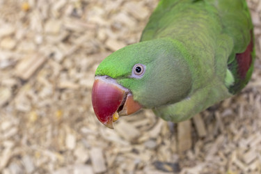 Similar image 22009137