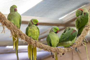 Similar image 22009138