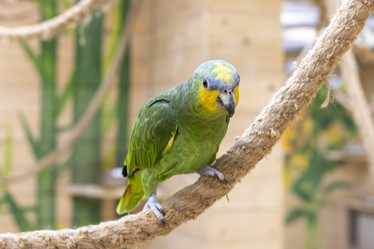 Similar image 22009139