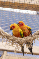 Similar image 22009140