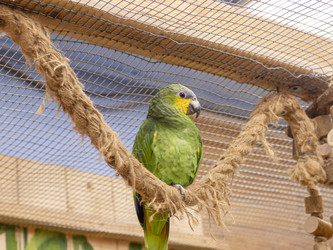 Similar image 22009144