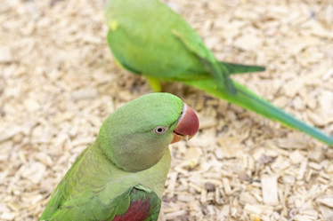 Similar image 22009146