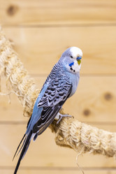 Similar image 22009147