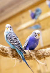 Similar image 22009148