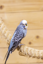 Similar image 22008845