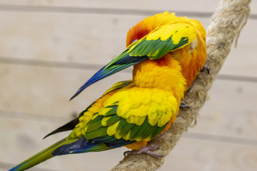 Similar image 22008847