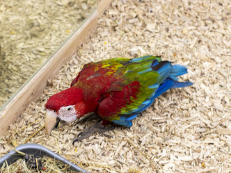 Similar image 22008848